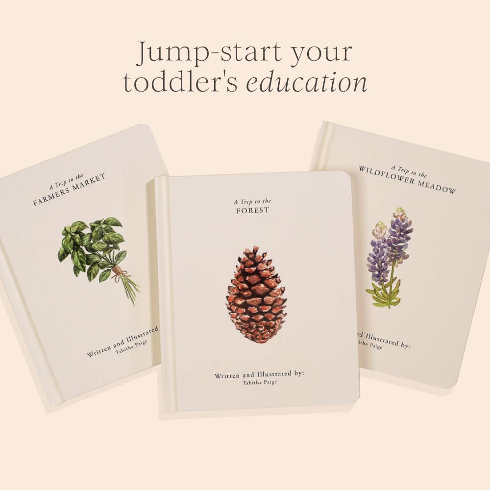 Penguin Random House LLC - Wholesale Baby & Toddler Book (0-2) - Our Little Adventures2