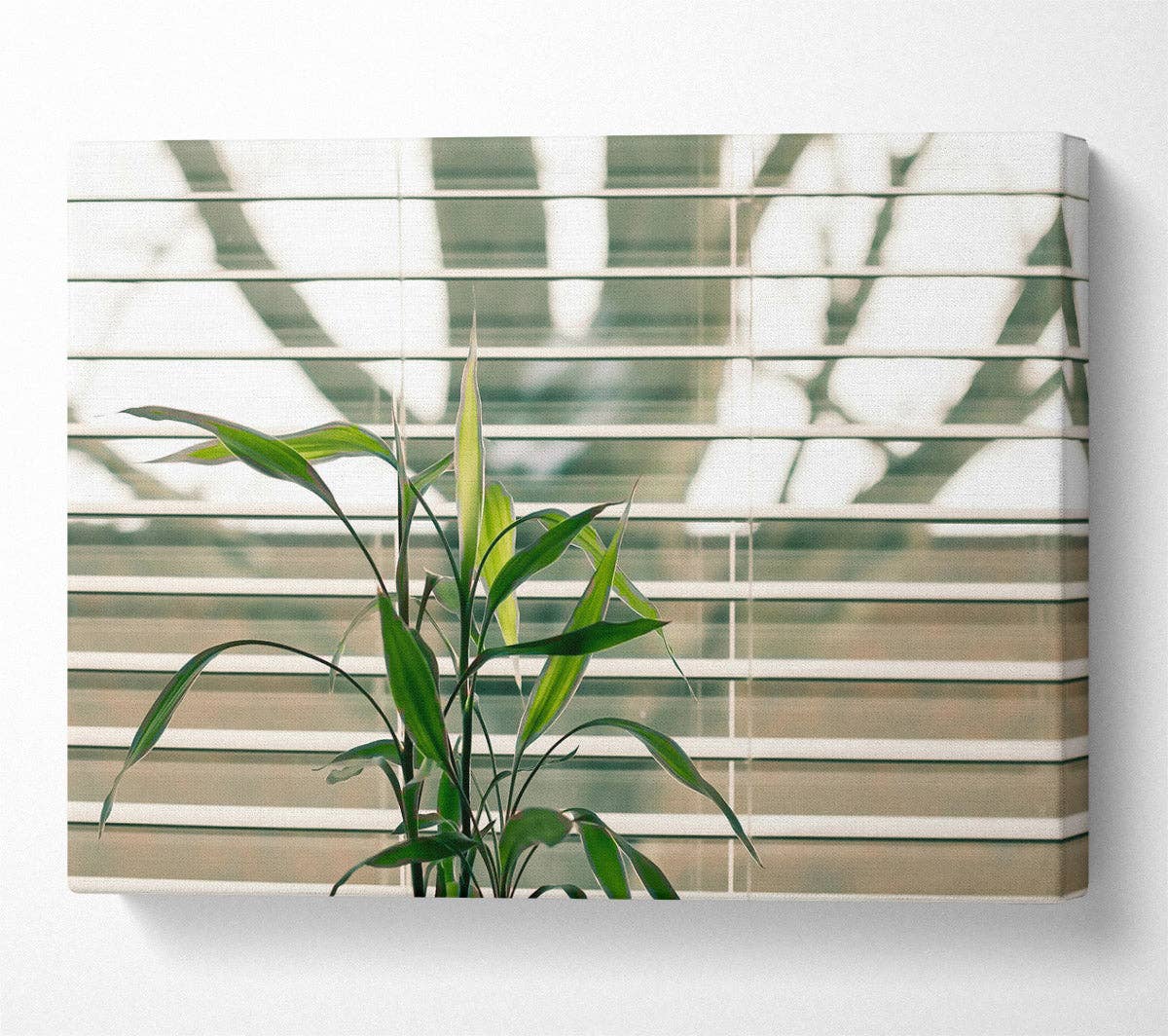 Simply Canvas Art – wholesale Art print – Green Through The Blinds0