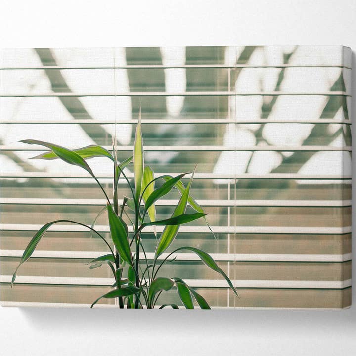 Simply Canvas Art – wholesale Art print – Green Through The Blinds