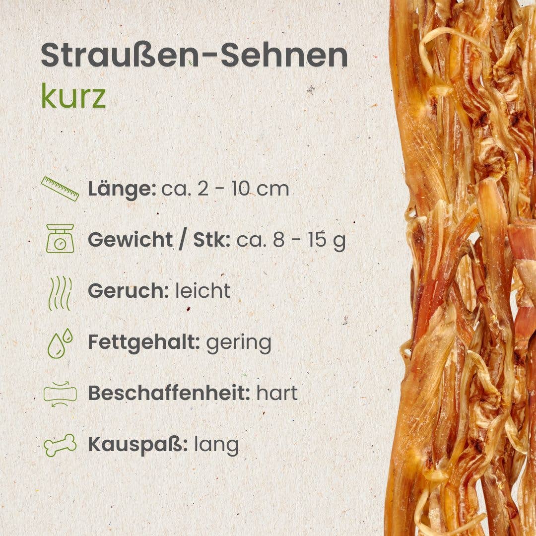 Kauartikel.com GmbH - Wholesale Pet Bone/Rawhide - Dog - ostrich tendons, short2