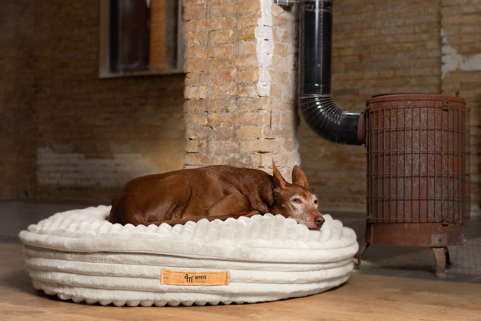 ammi for Dogs - Vente Panier – chien - Coussin pour chien Cama - intérieur en liège et extérieur en tissu douillet8