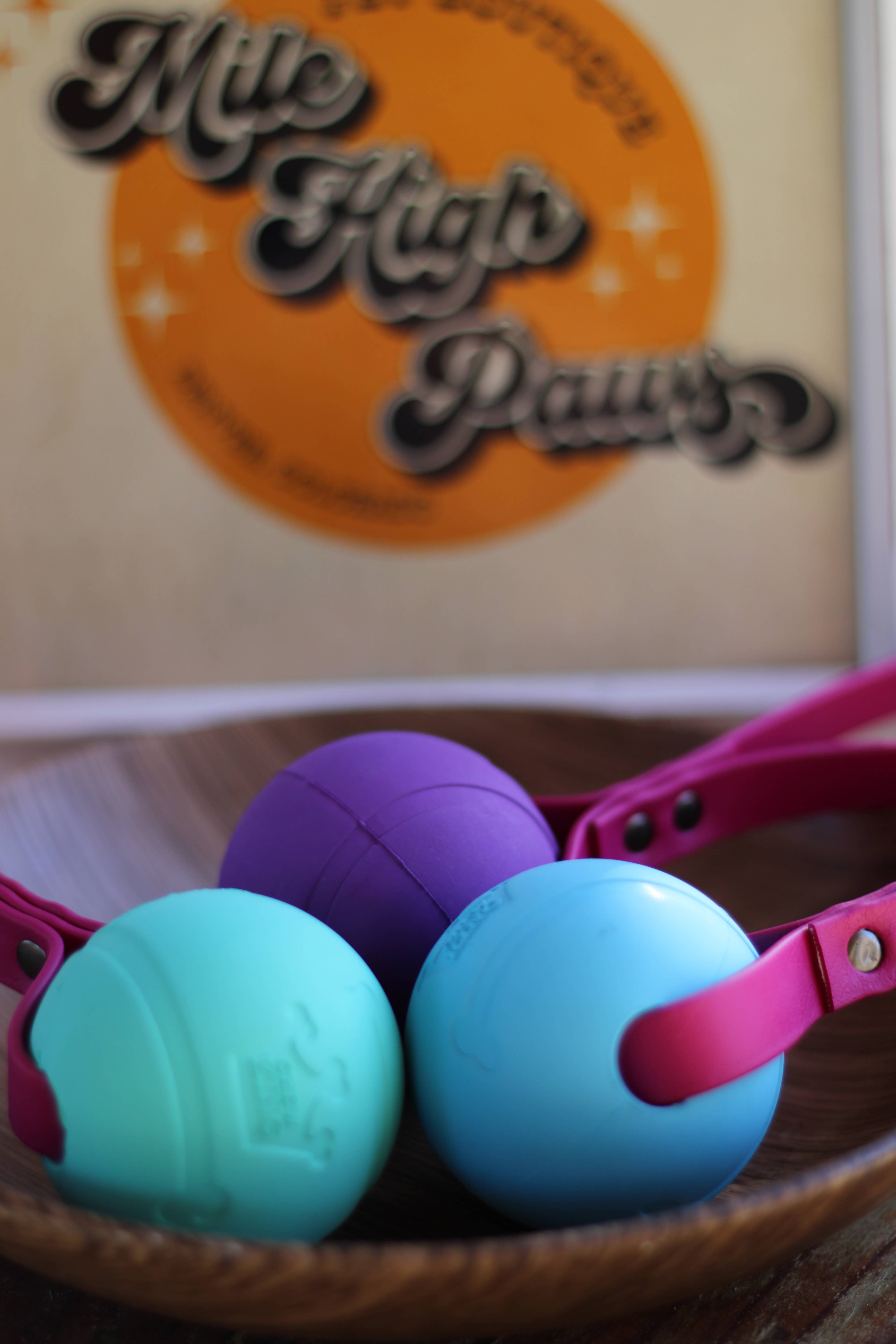 Mile High Paws - Wholesale Pet Toy - Dog - BioThane Tug Toy | Fetch Toy | Toss Toy | Training Reward2