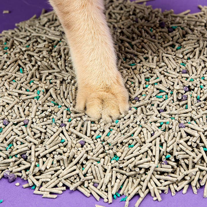 PETKIT - Wholesale Cat Litter Box - Flushable Clumping Cat Litters - 2 Bags