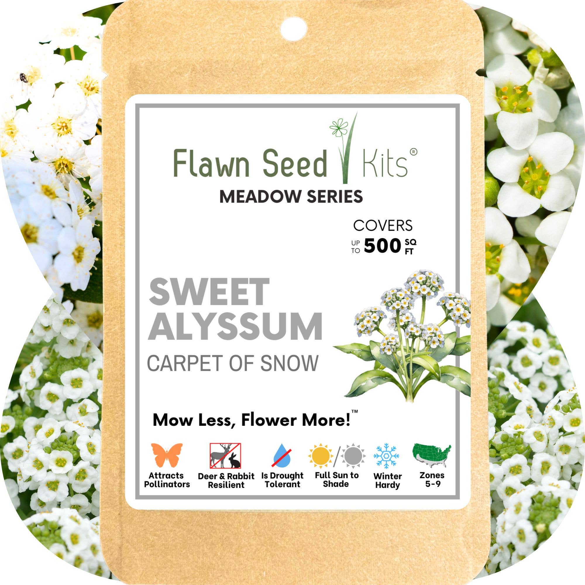 Flawn Seed Kits - Wholesale Plant Seeds - Sweet Alyssum Carpet of Snow Seed Pouches5