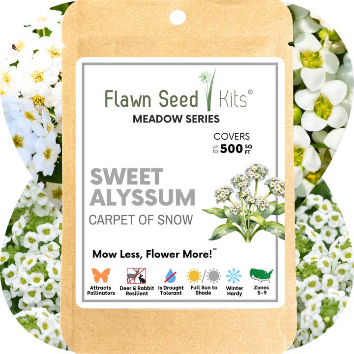 Flawn Seed Kits - Wholesale Plant Seeds - Sweet Alyssum Carpet of Snow Seed Pouches5