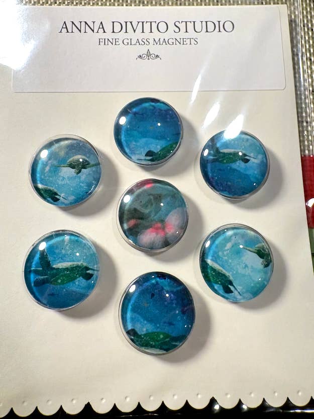 OCEAN BLU SEA TURTLES MAGNET SET | ROUND GLASS | HANDCRAFTED for wholesale by Anna DiVito Studio