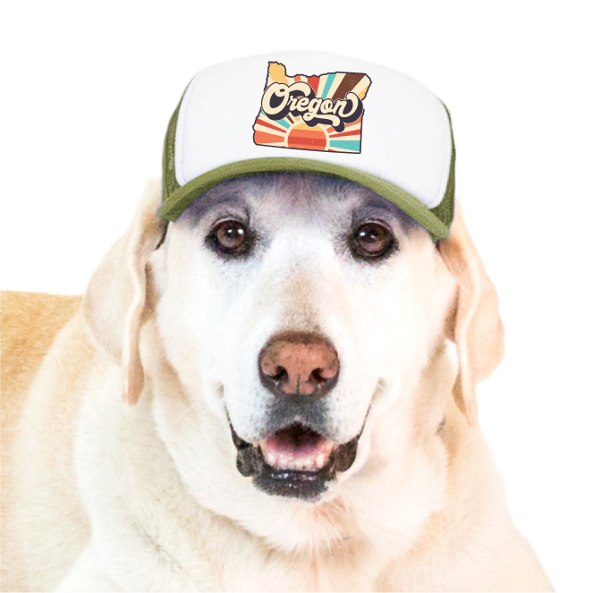 PupLid - Wholesale Pet Hat - Dog - Vintage State | Trucker Hat for Dogs63