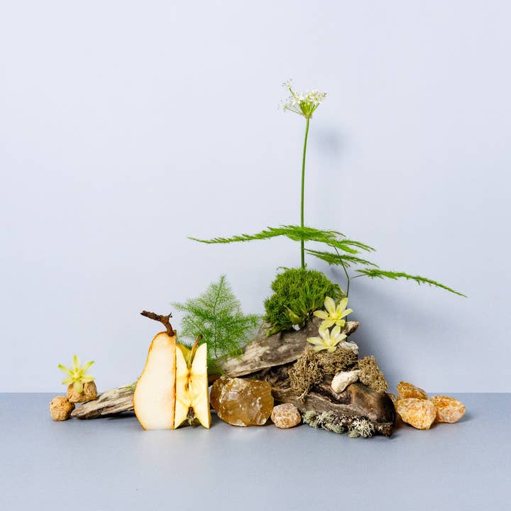 Autre 13 Serene Forest Duftolie for engroshandel hos Lark Artisan Supply