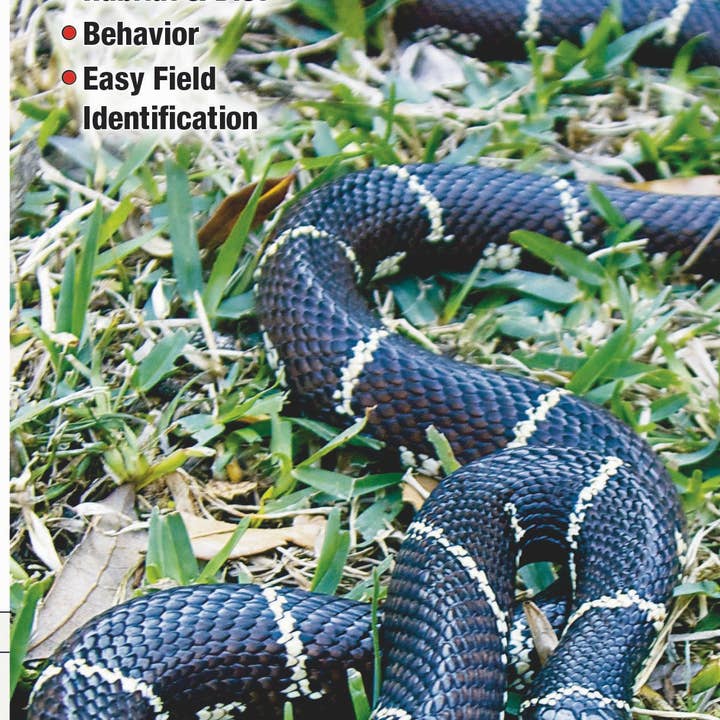 Quick Reference Publishing, Inc - Vendita all'ingrosso Natura e attività all'aria aperta - Serpenti degli Stati del Medio Atlantico