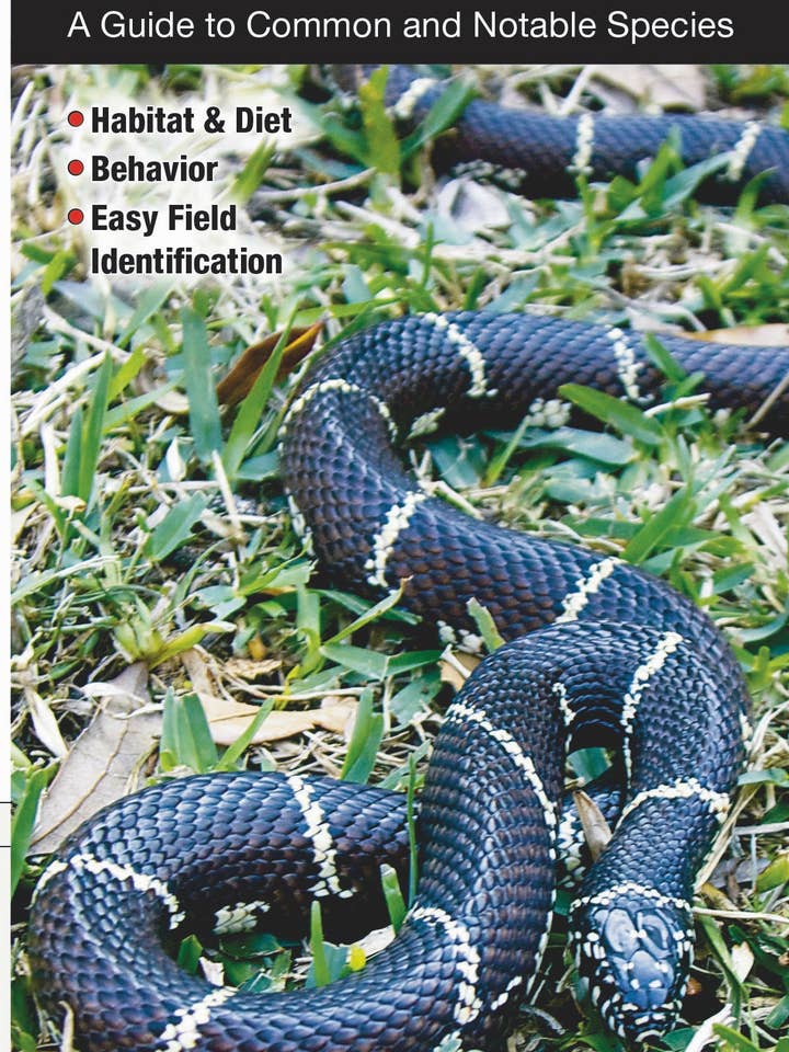 Snakes of the Mid-Atlantic States for wholesale by Quick Reference Publishing, Inc