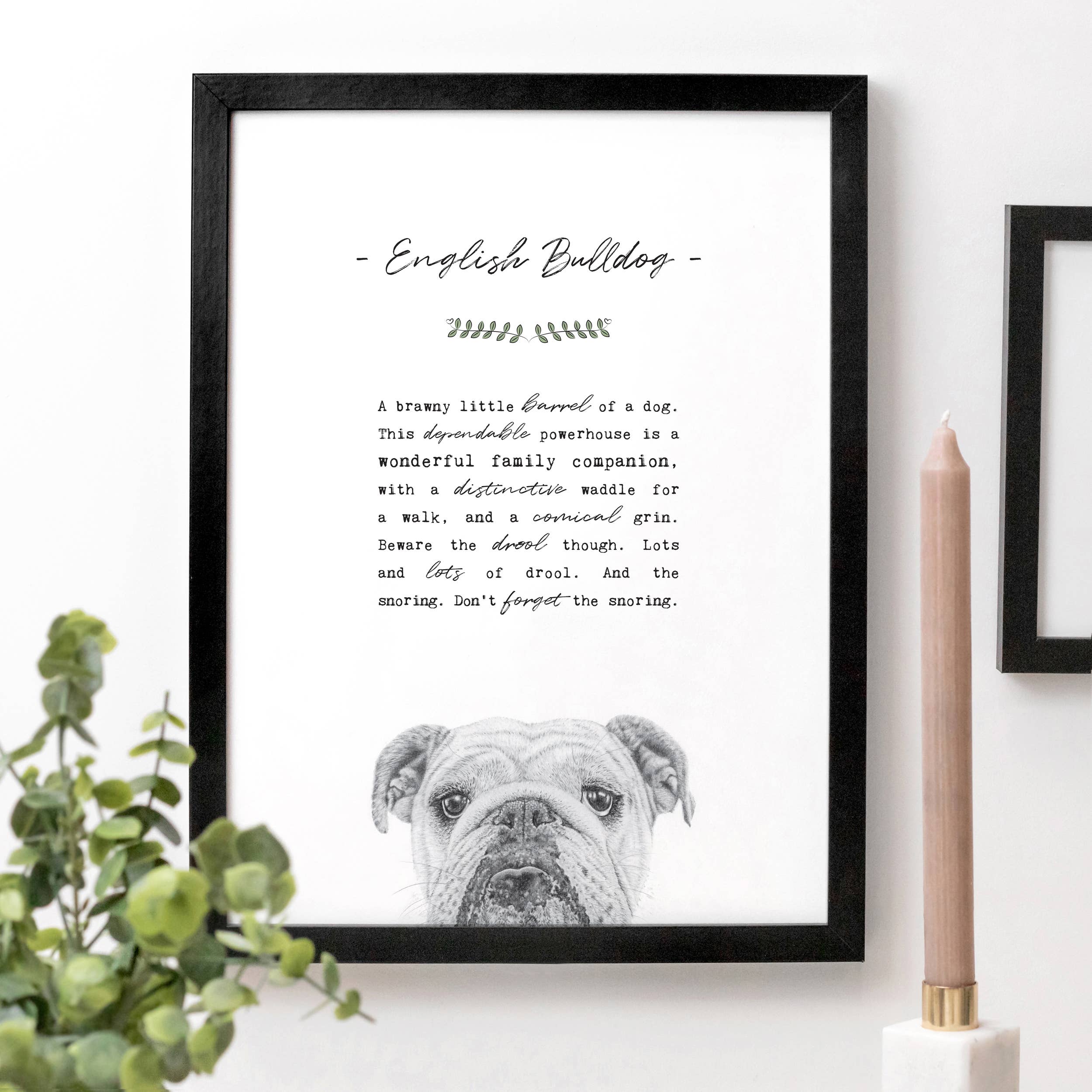 Coulson Macleod (U.S. Duties Paid) - Wholesale Art Print - Best-Selling 'Pooch' Dog Prints with Wooden Display Box11