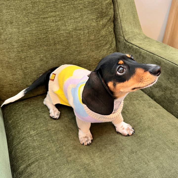 Sunbean - Wholesale Pet Sweater - Dog - Wavy Knitted Dog Sweater7