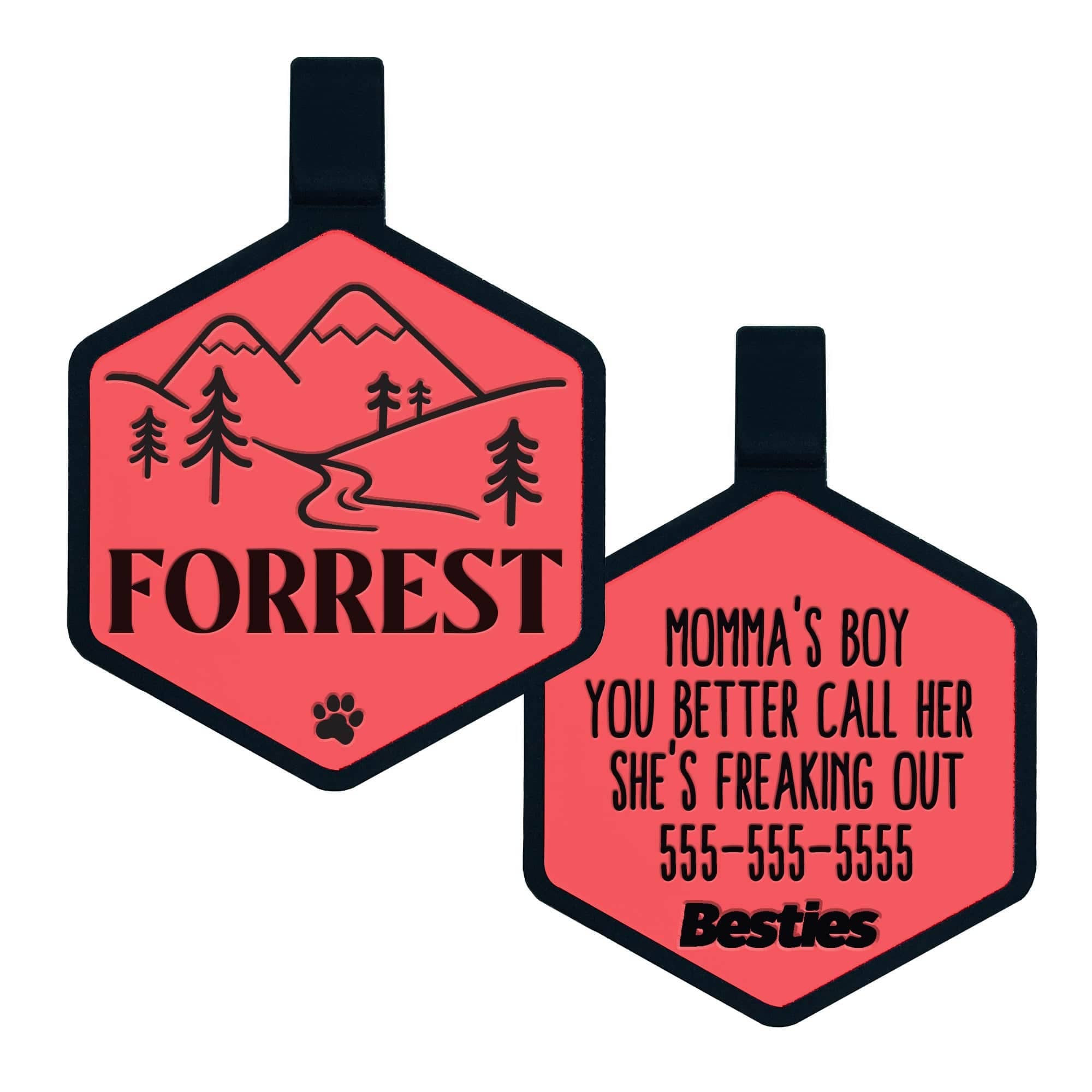 Besties Pets - Vendita all'ingrosso Etichetta per collare - Cani - Targhetta per cane in silicone con tema avventura in montagna12