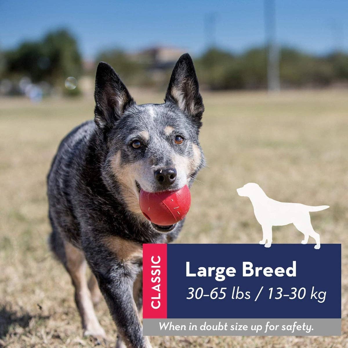 Playful Tail - Wholesale Pet Fetch Ball - Dog - KONG Ball Hard Rubber Dog Toy (2 Sizes Available)4