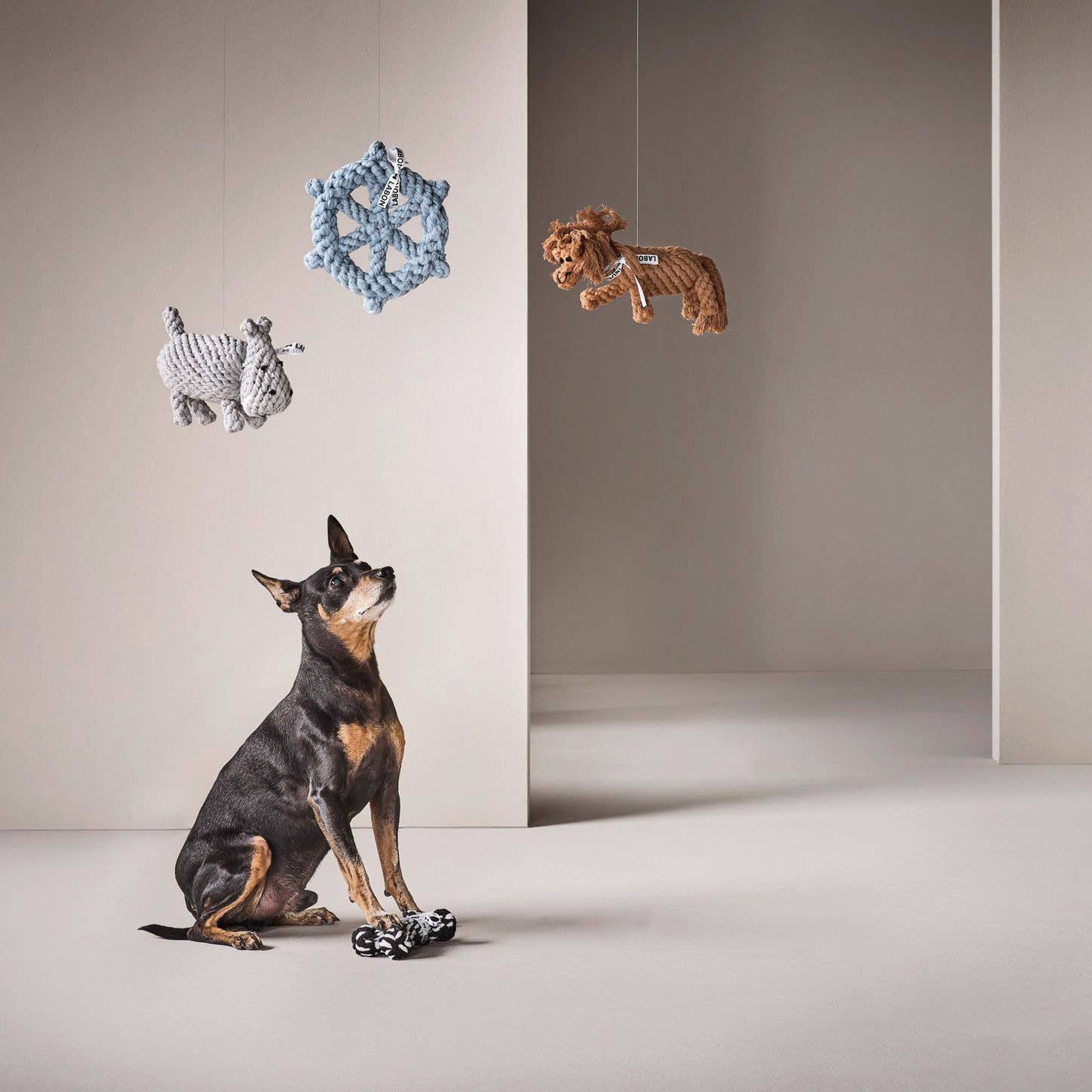 LABONI - Volentis GmbH - Wholesale Pet Rope Toy - Dog - SKIPPER – A Fresh Breeze of Fun11