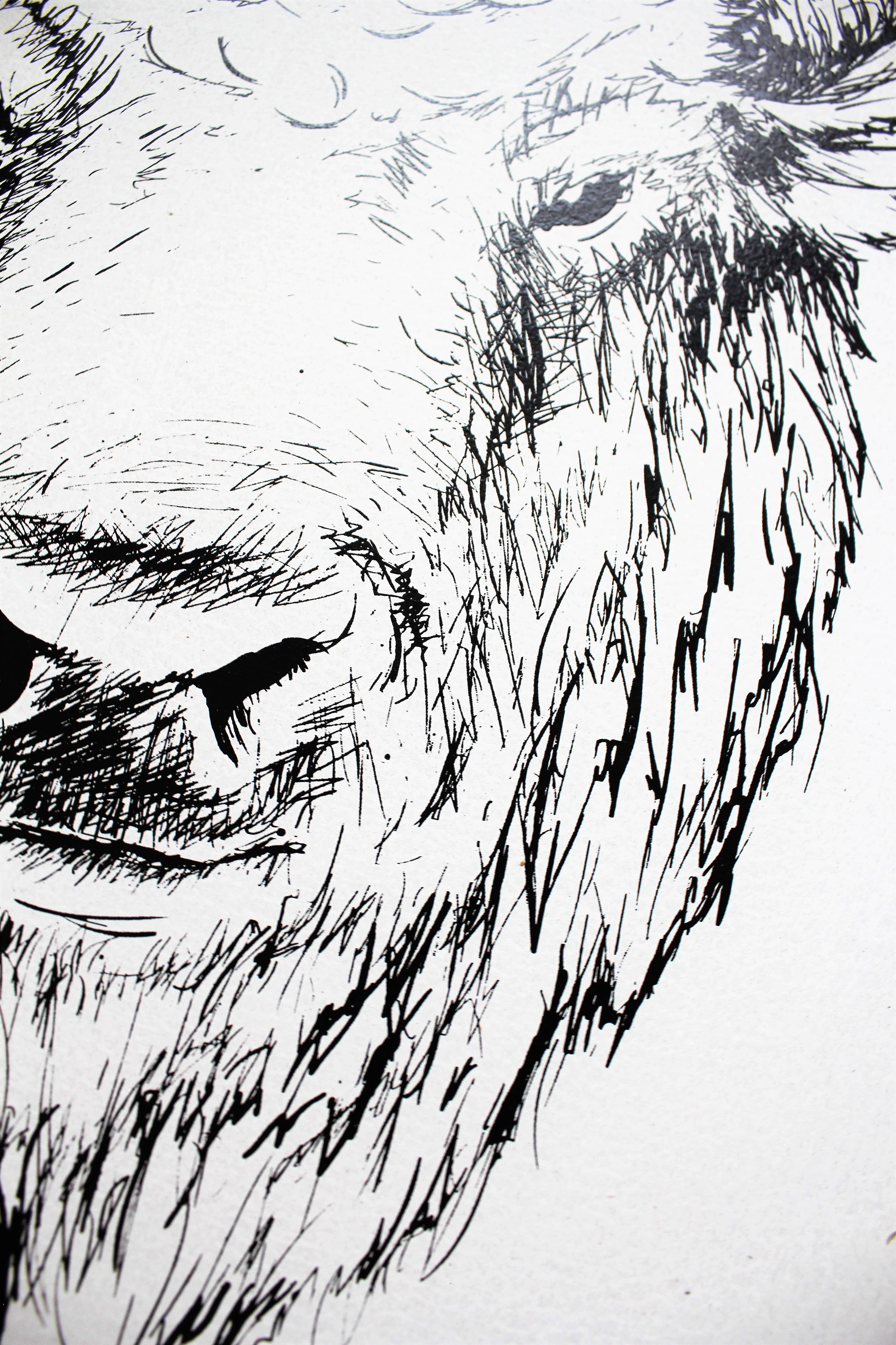 Williamraedesigns - Wholesale Art Print - Bison Line Art Framed Print – Western Buffalo Wall Art 6