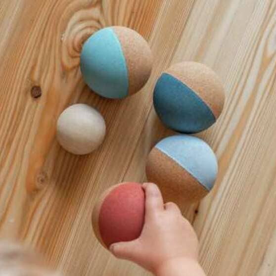 Champions for wholesale by Korko