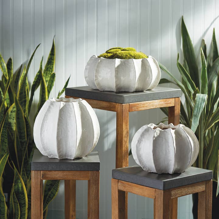 Napa Home & Garden - Venta al por mayor Macetas - Maceta Urchin Marina de 20 cm2