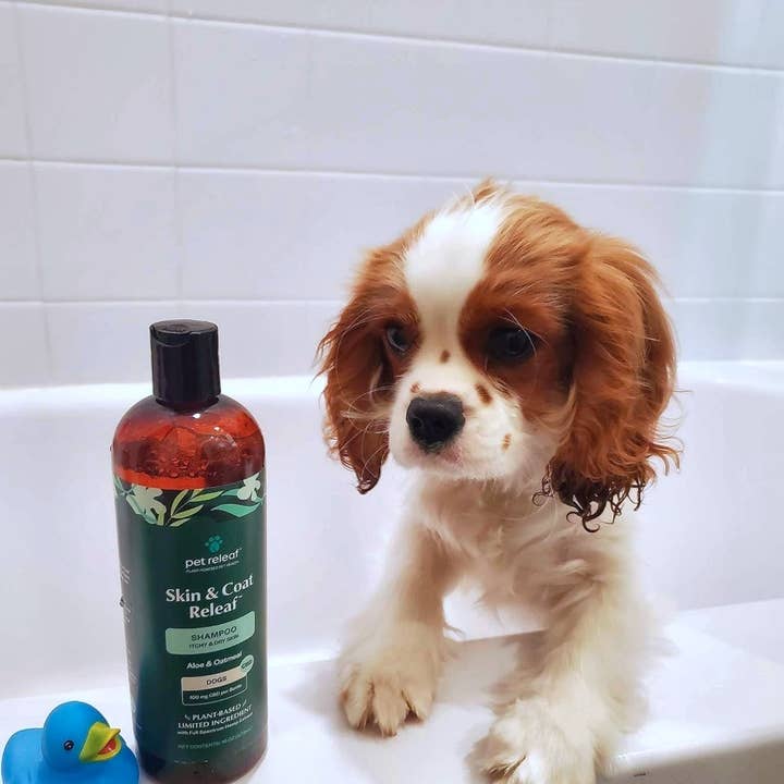 Pet Releaf CBD - Wholesale CBD Pet Products - Topical - Itchy & Dry Skin CBD Shampoo For Dogs5