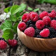 AZIENDA AGRICOLA MIGLIORETTI - Wholesale Jam/Jelly - WILD BERRY JAM made in Italy