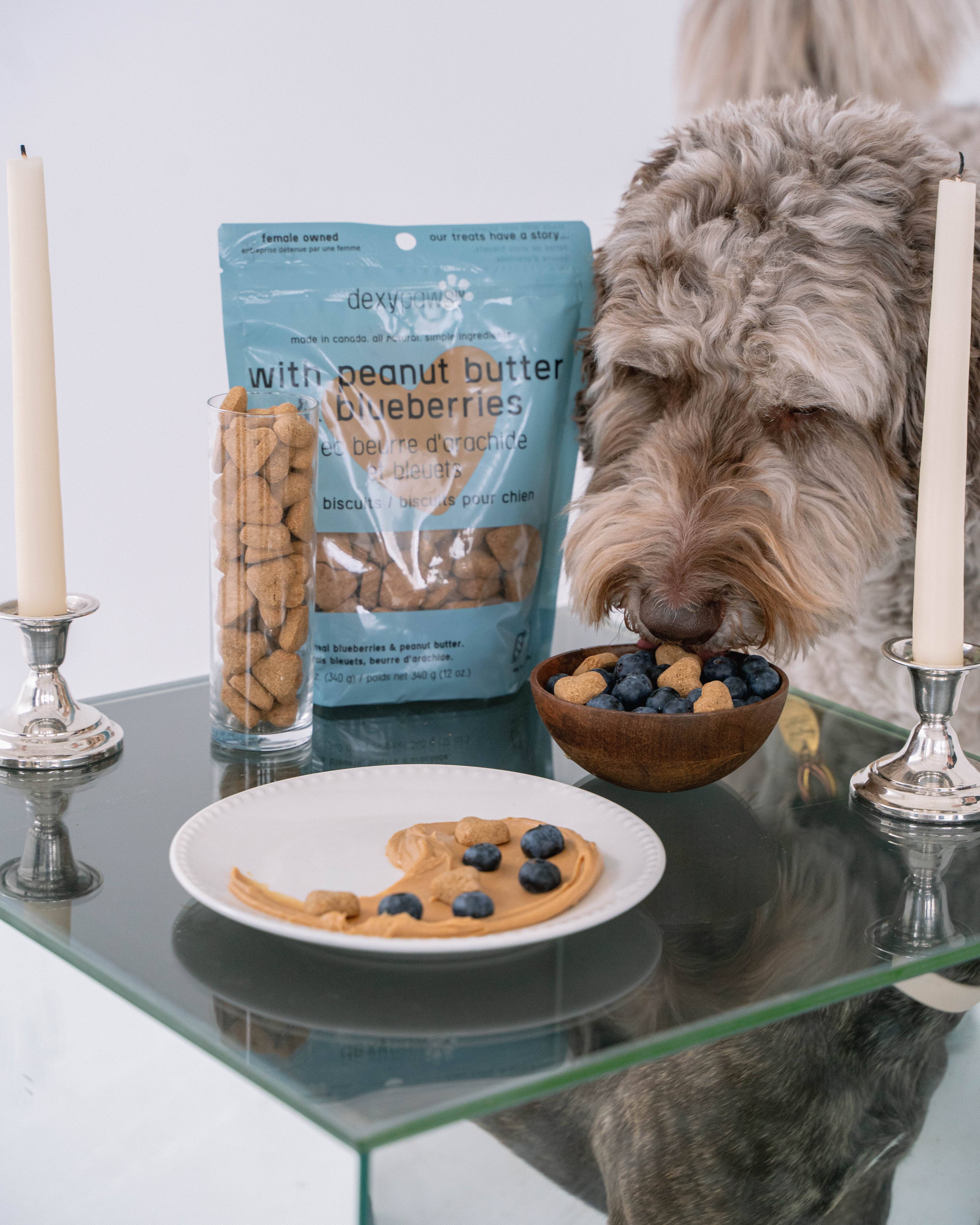 dexypaws - Vendita all'ingrosso Snack - Cani - Dolcetti per cani al burro di arachidi e mirtilli1