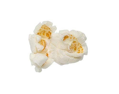 Popcornloop - Vendita all'ingrosso Utensile/attrezzo da cucina - Mega confezione: popcorn loop I confezione da 10 sacchetti M per popcorn I 1 chilo di mais a farfalla I confezione da 2 cover originali4