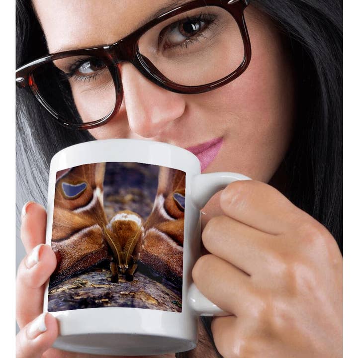 3dRose – wholesale Coffee mug – 3dRose, Papua New Guinea, Atlas Moth insect - OC12 MWE0321 - Michele Westmorland, Mug9