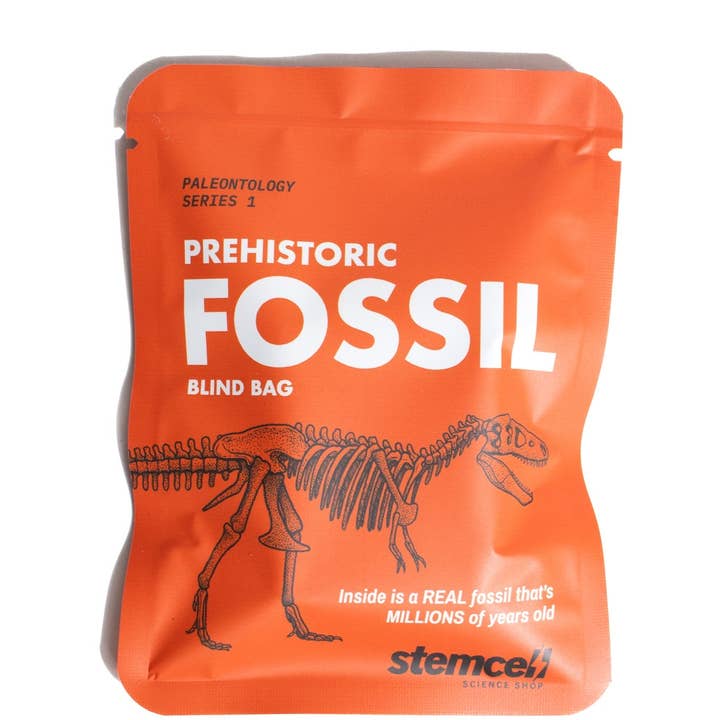 Stemcell Science Shop – wholesale Decorative tabletop object – Fossil Blind Bag