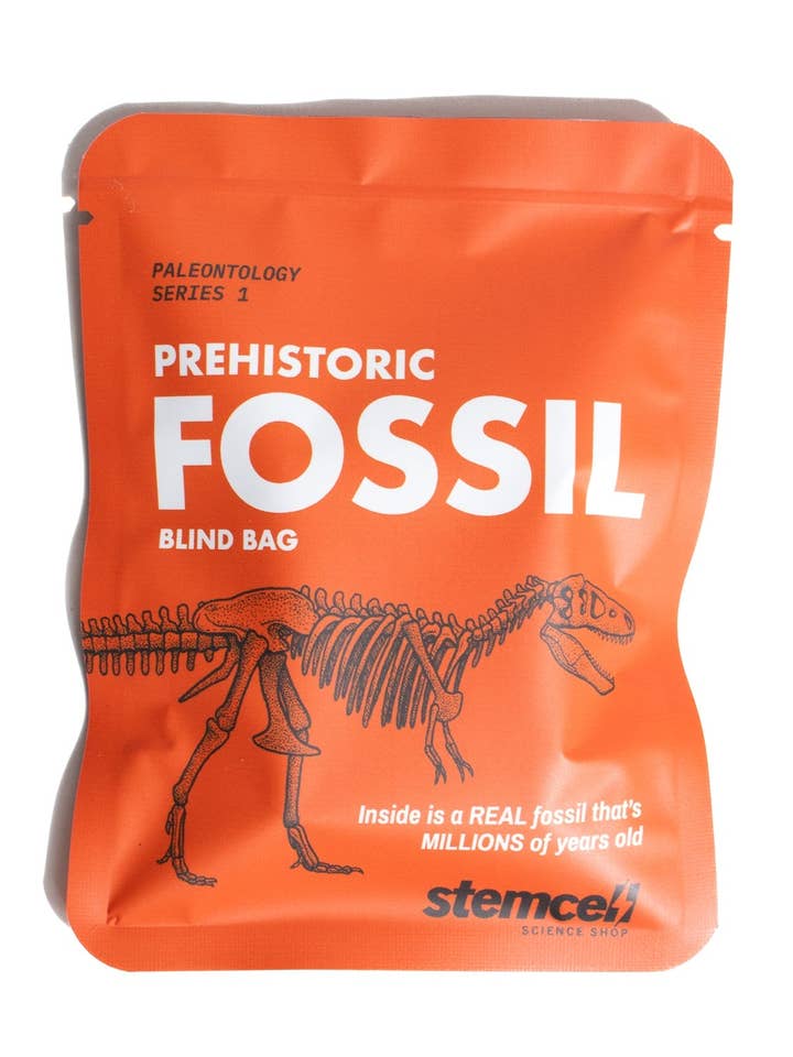 Bolsa Fossil Blind para venta al por mayor de Stemcell Science Shop