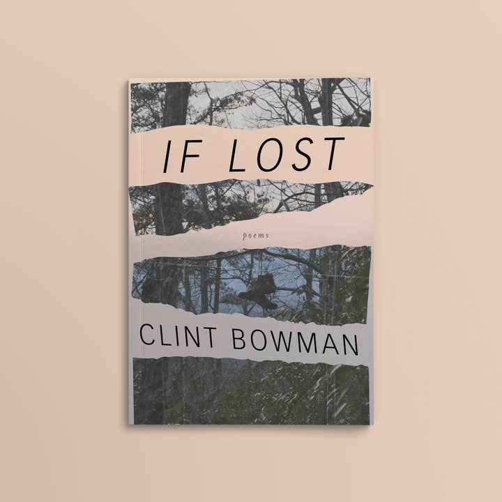 If Lost for wholesale by Loblolly Press