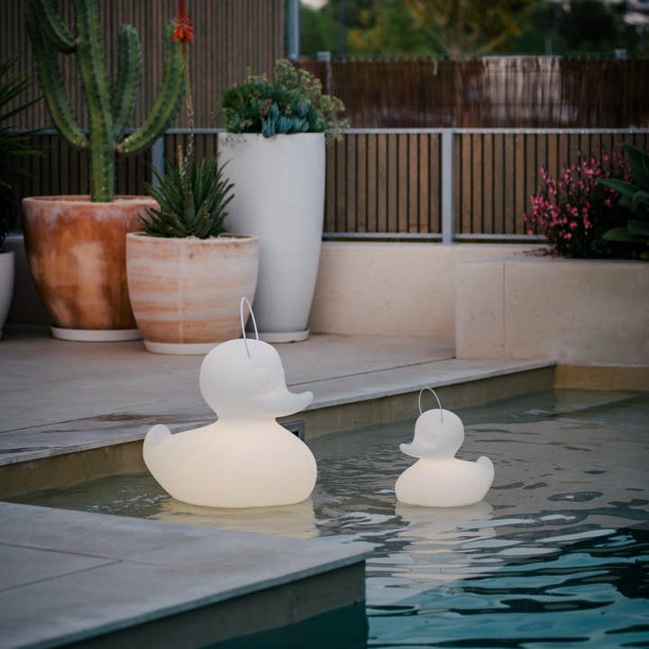 Goodnight Light - Wholesale Accent/Desk Lamp - Mixed carton Duck Lamp 54cm (XL) 1 white 1 yellow