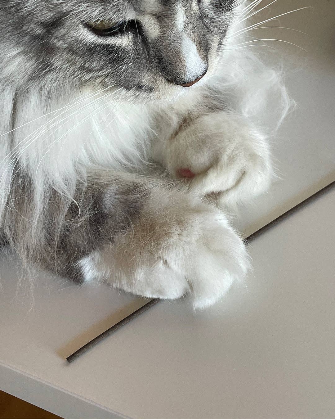 OEM - Venta al por mayor Incienso - Incienso (Hinoki)6