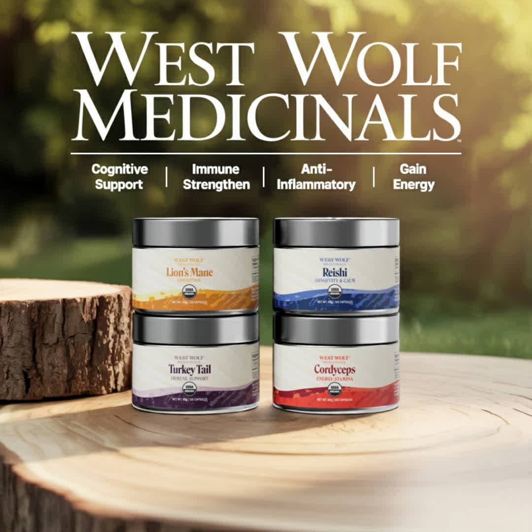 West Wolf Medicinals - Vente Supplément oral/vitamine - Complément alimentaire en gélules de soutien cérébral puissant à base de crinière de lion biologique7