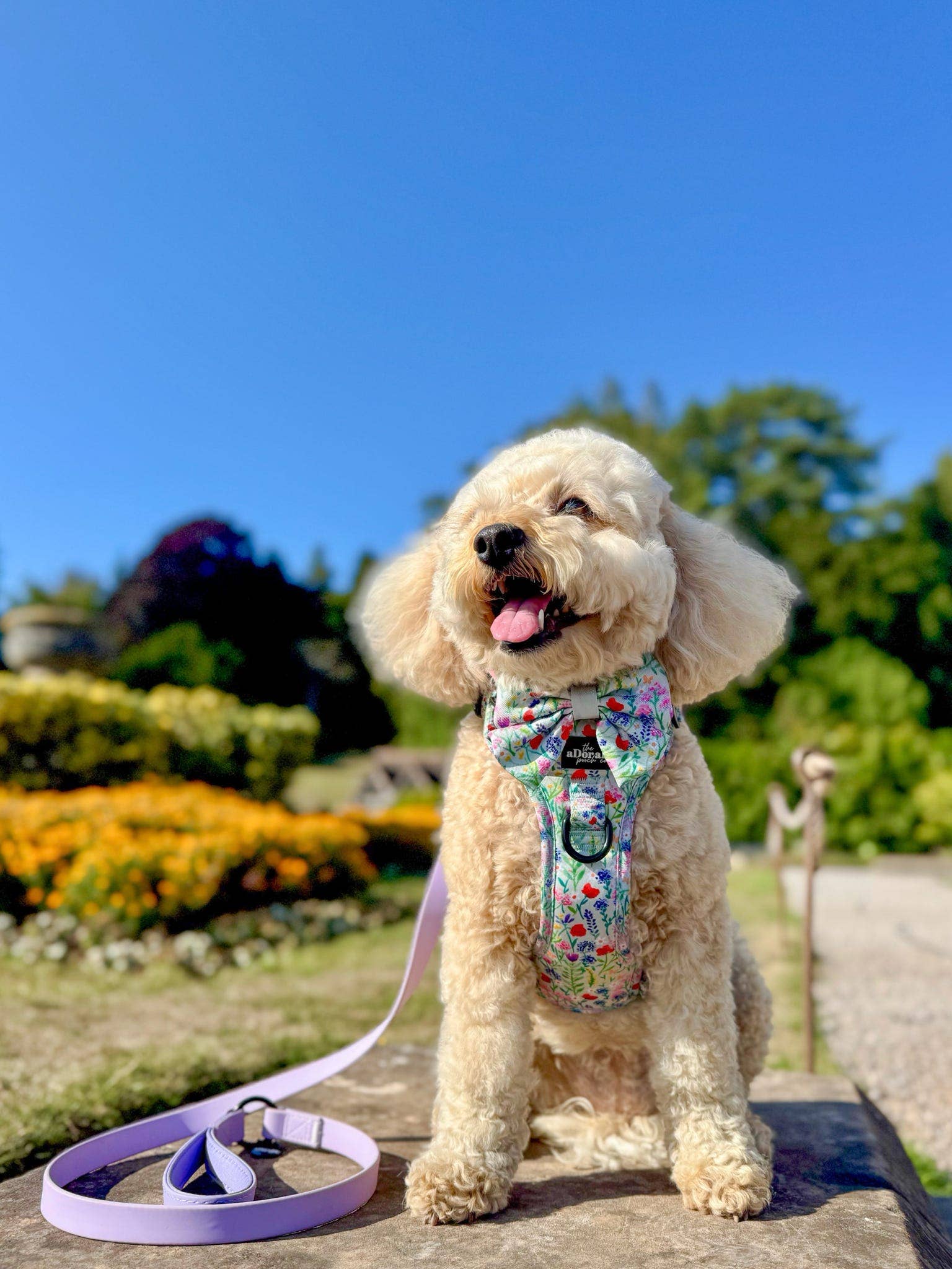 The aDoraBle Pooch Company - Wholesale Tuig voor huisdieren - Hond - Hike & Go Lite™ Harnas - Wildflower Meadow27