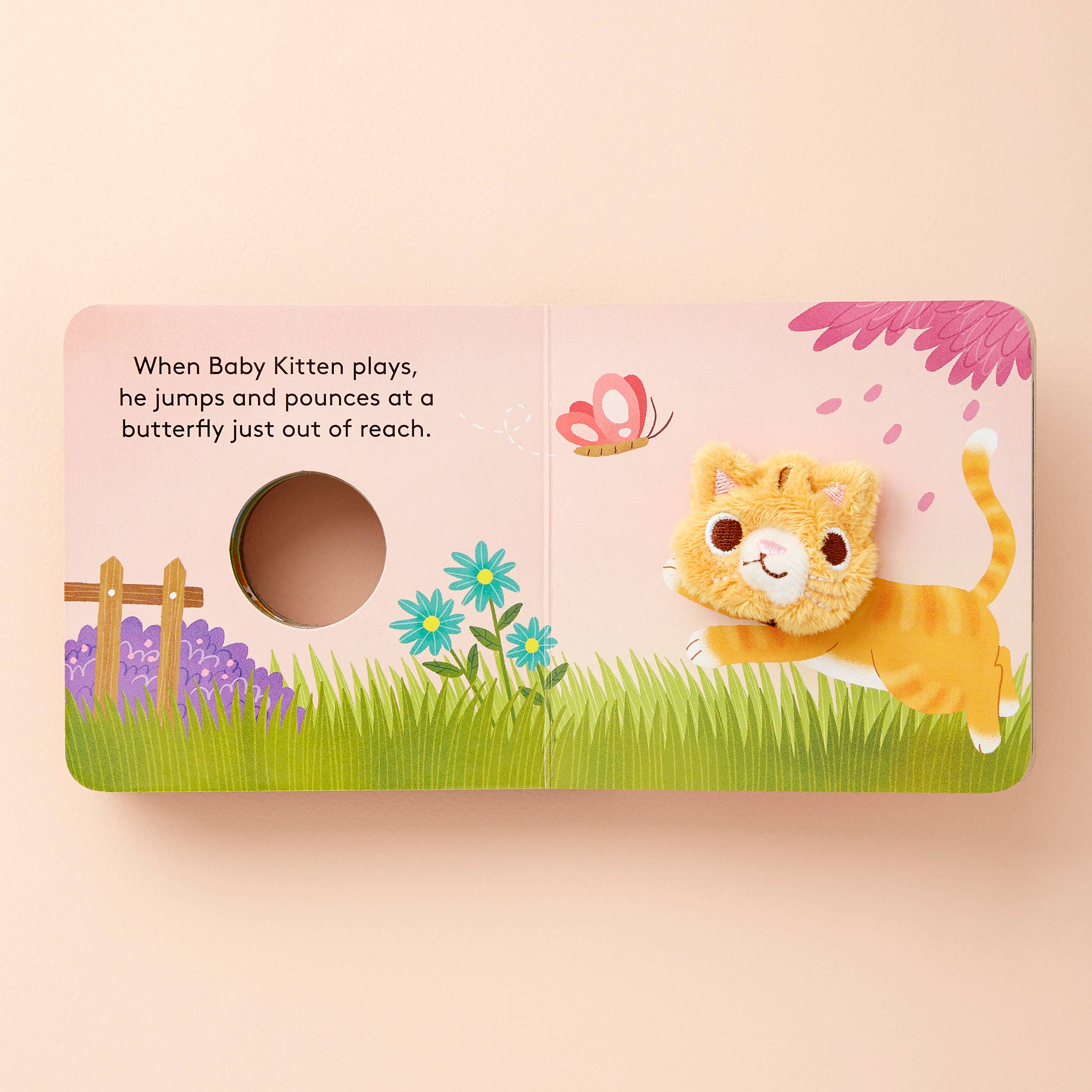 Chronicle Books - Wholesale Baby & Toddler Book (0-2) - Baby Kitten5