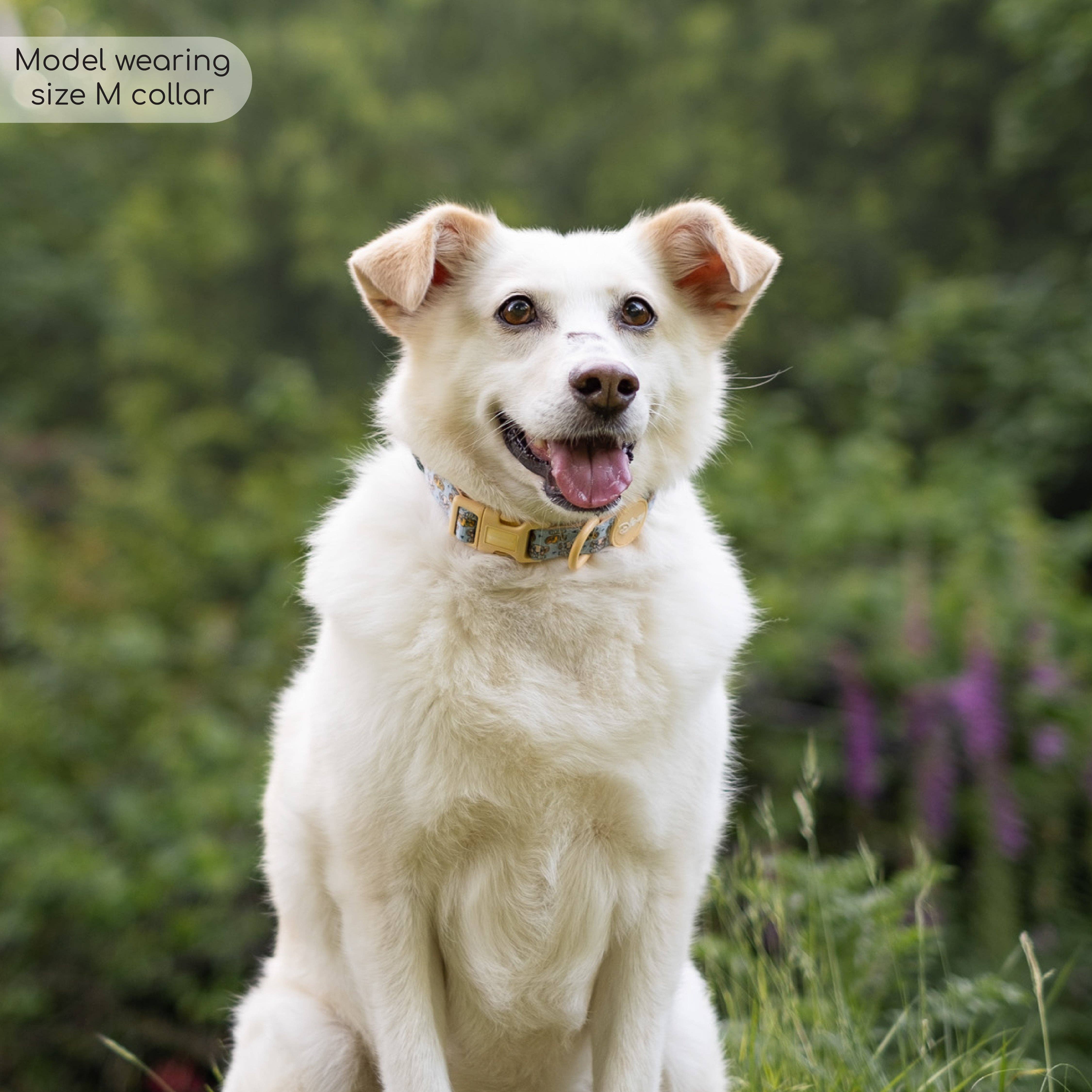 Pawsome Paws - Vendita all'ingrosso Collare - Cani - Collare Disney© - Amici del leone6