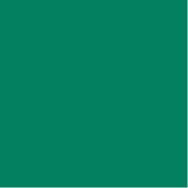 Organic Tagua Jewelry – Großhandel Ohrhänger – Fiesta Ohrringe49