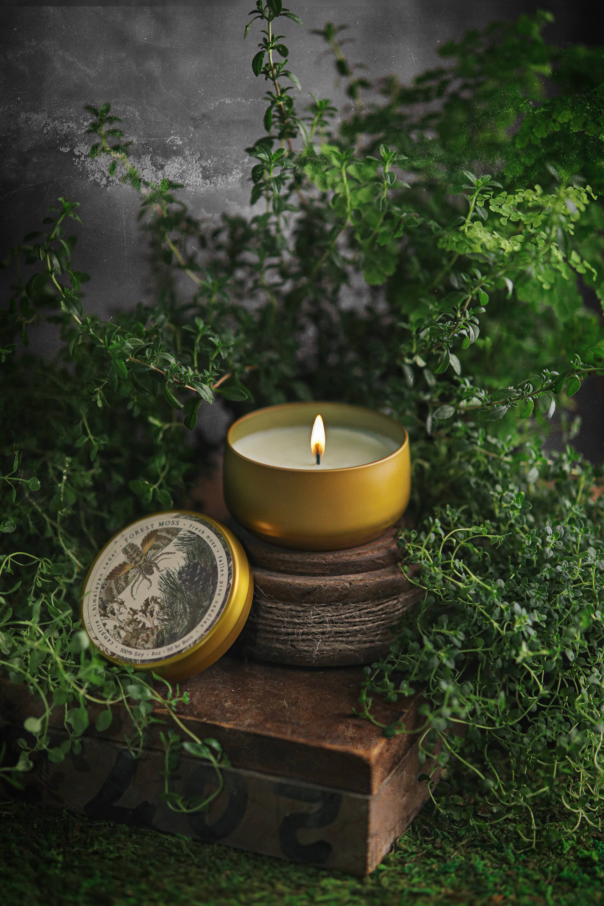 L'apothicaire Co. - Wholesale Travel Candles - BOTANICA | Forest Moss | 8oz Tin
