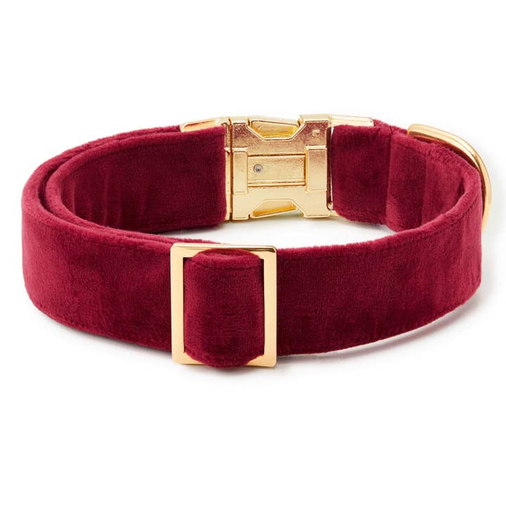The Foggy Dog - Wholesale Pet Collar - Dog - Burgundy Velvet Dog Collar1