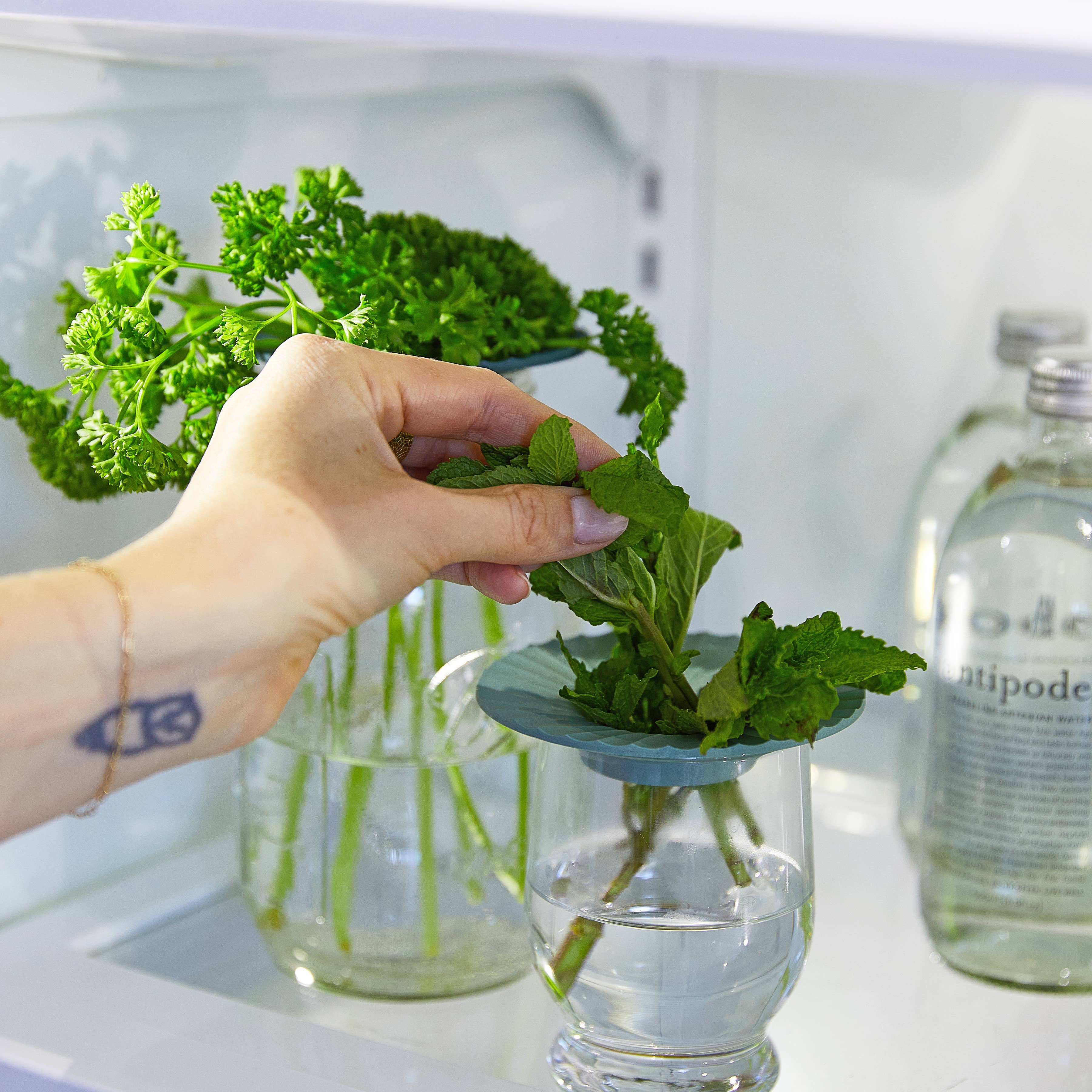 Modern Sprout - Wholesale Plant Pot - Produce Keepers - Set of 25