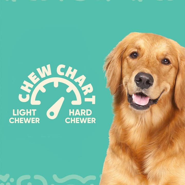 Yomp - Wholesale Pet Chew Toy - Dog - Barkin' Bone: All-Natural Chew Stick for Dogs4