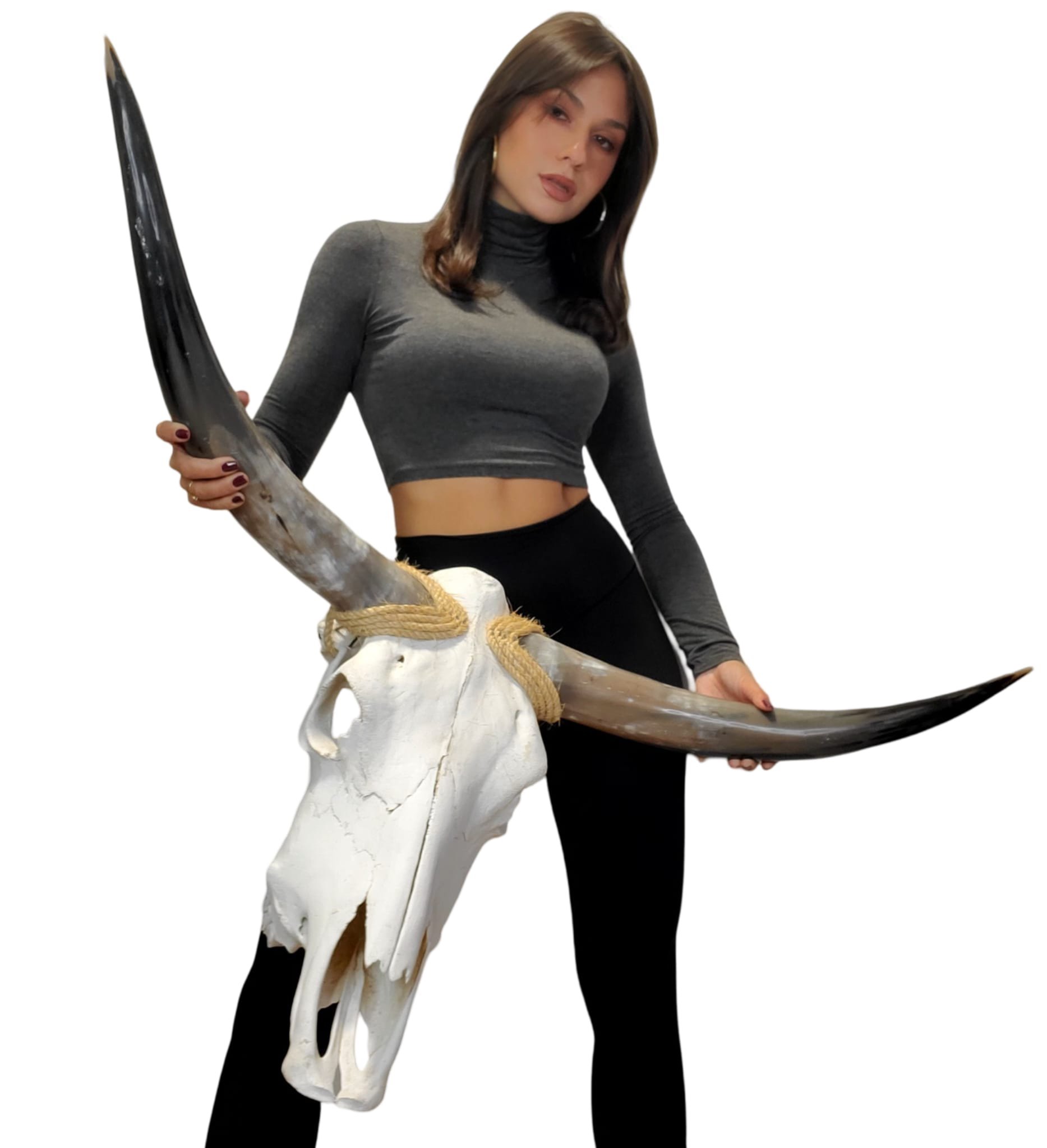 Charlie Leather - Wholesale Retailer Sample - Home Decor - Athena Longhorn Skull 0