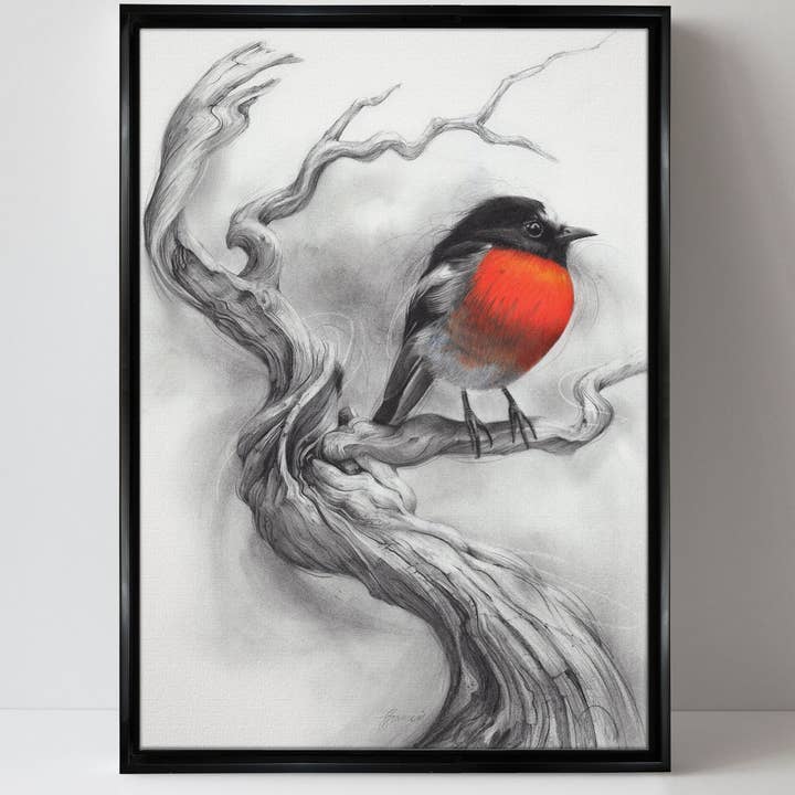 Fiona Francois Art - Wholesale Art print - 'Scarlet Robin' canvas print1