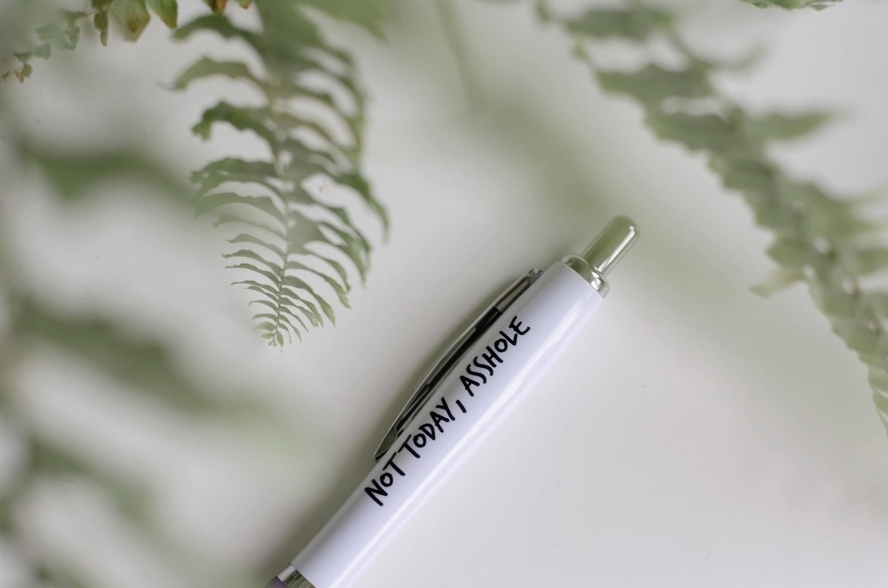 F Bomb Designs - Venta al por mayor Bolígrafo - SWEARY PENS/Not Today Asshole/Bolígrafo divertido y grosero para adultos1