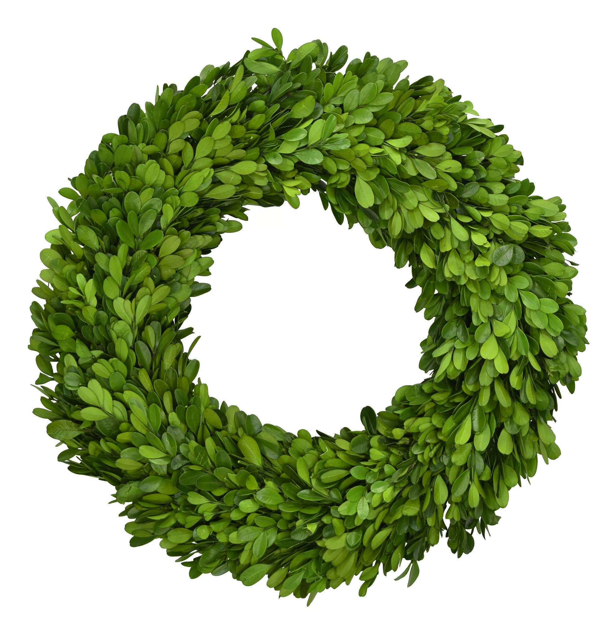 Preserved Boxwood Wreath - Heart 16