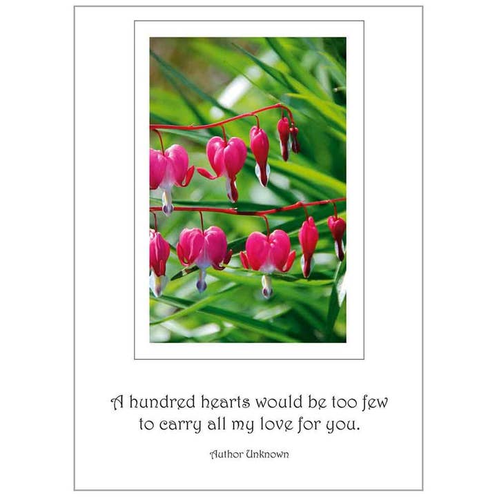 Hundreds of Hearts - Friendship Value Card for wholesale by Legacy