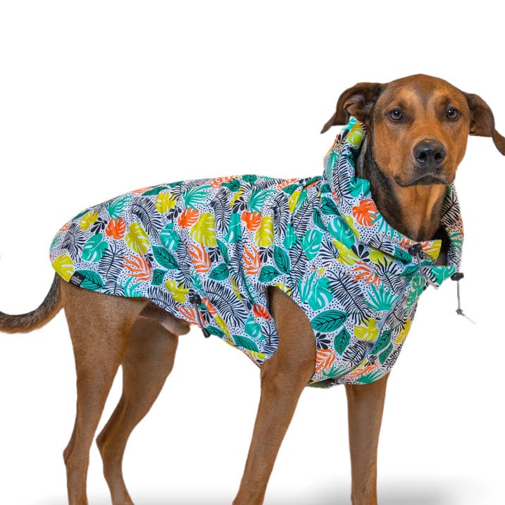 The Jungle - Raincoat (Clearance) for wholesale by The Long Dog Clothing Co.