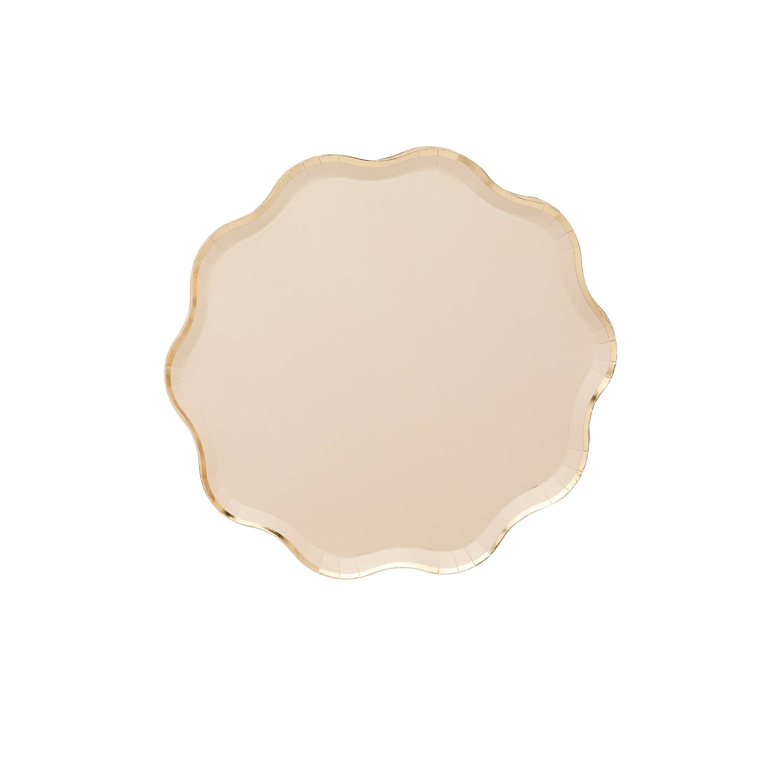 Hootyballoo by Club Green - Wholesale Disposable Plate - Champagne Paper Plates 8 Pack1