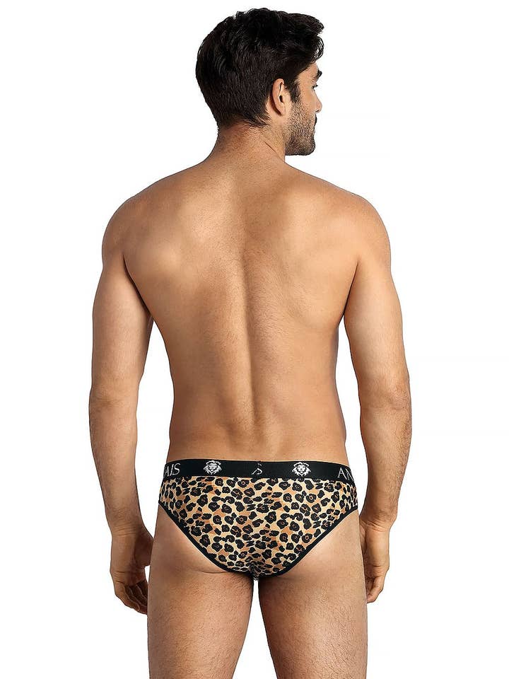 Multicolored Men's Briefs Model 181803 Anais for wholesale on Faire1