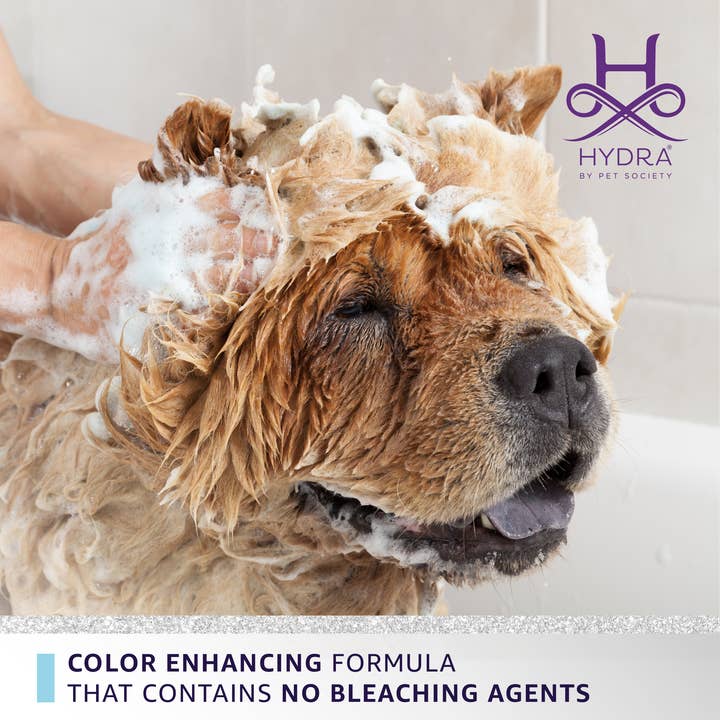 Hydra by Pet Society - Wholesale Pet Shampoo - Dog - Hydra Professional Whitening Shampoo